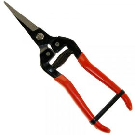 MUTA szüretelő olló, 19mm, egyenes