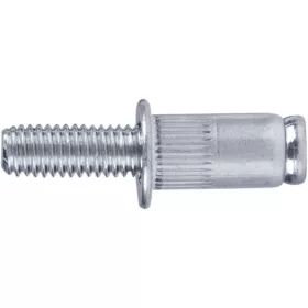  FORTUM szegecscsavar klt. 25 db, M6, horganyzott acél, FORTUM