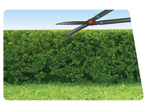 EXTOL PREMIUM  sövényvágó olló, hullámos, tapadásmentes penge, teleszkópos, 690-890mm, ellipszis, gumírozott műanyag