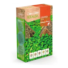 Dichondra 100g