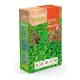 Dichondra 100g
