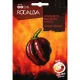 Paprika Chili Habanero csokoládé 25 szem