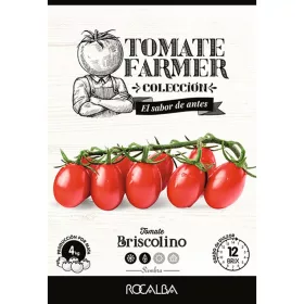 Paradicsom Briscolino (Tomato Farmer) 8 szem